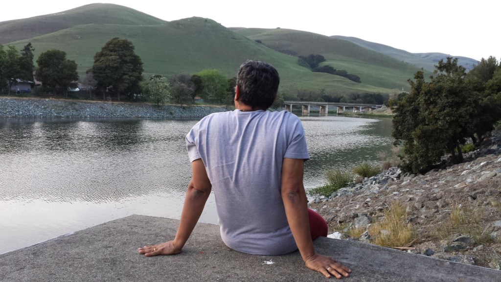 Meaningful Work: Goldfishes, Community, Contribution and&nbsp;Challenges