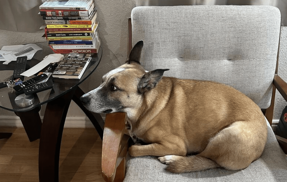 Having a Good attitude for no&nbsp;reason